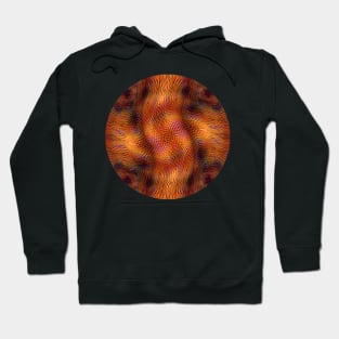 FLAMENCO SWIRL Hoodie